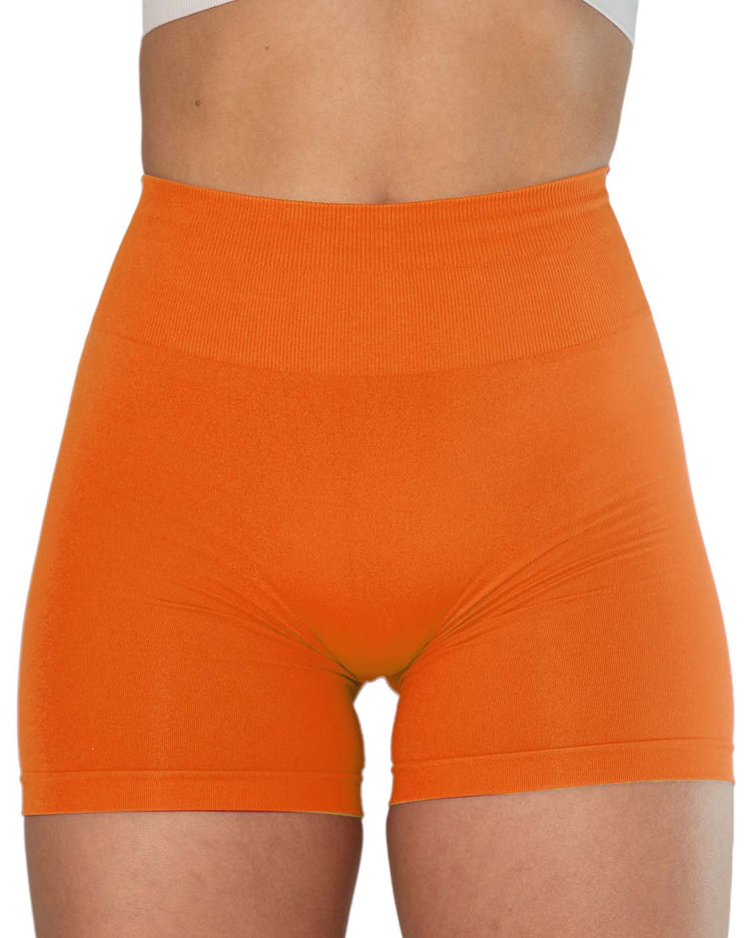 AUROLA Dream Workout Scrunch Shorts New Colors