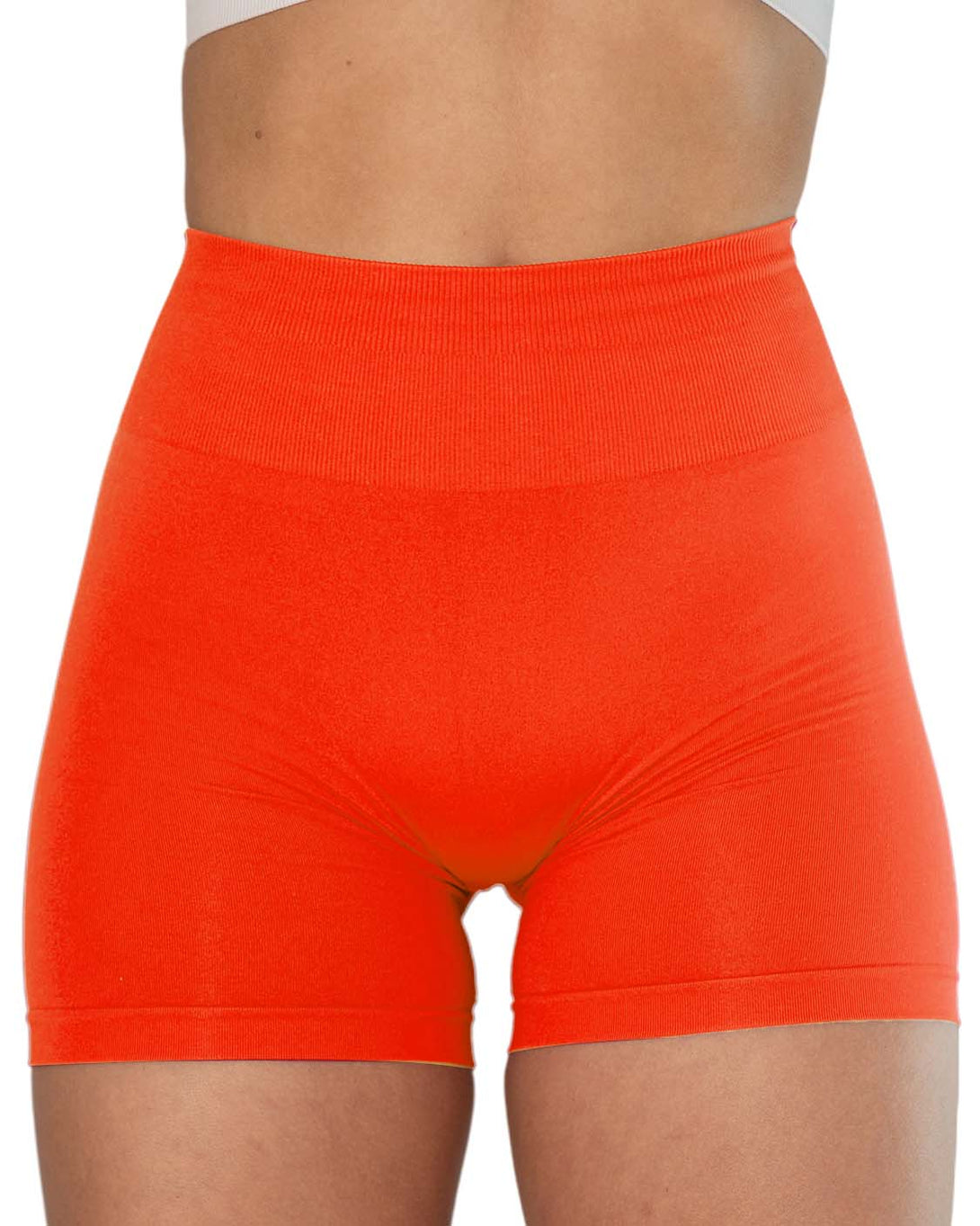 AUROLA Dream Workout Scrunch Shorts New Colors