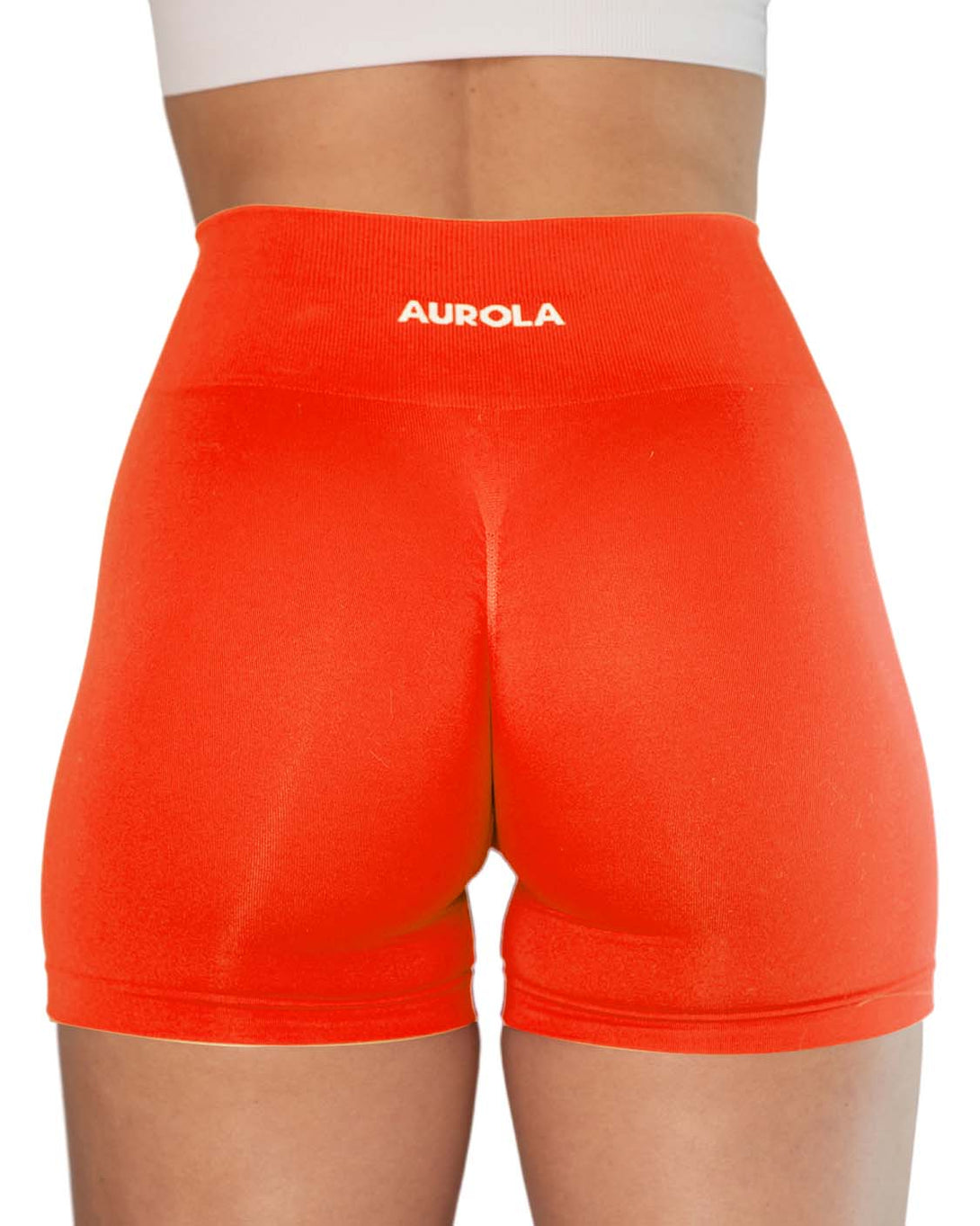AUROLA Dream Workout Scrunch Shorts New Colors